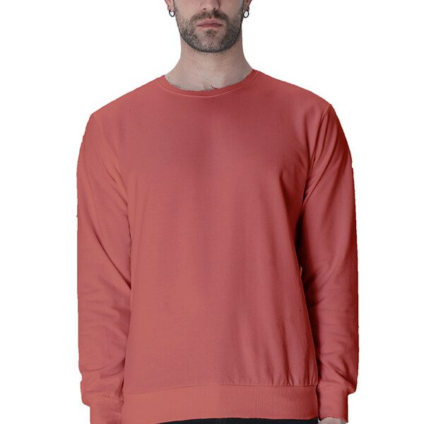 Adult Sweatshirt Darkshaded Multicolor Plain  Non-Zipped